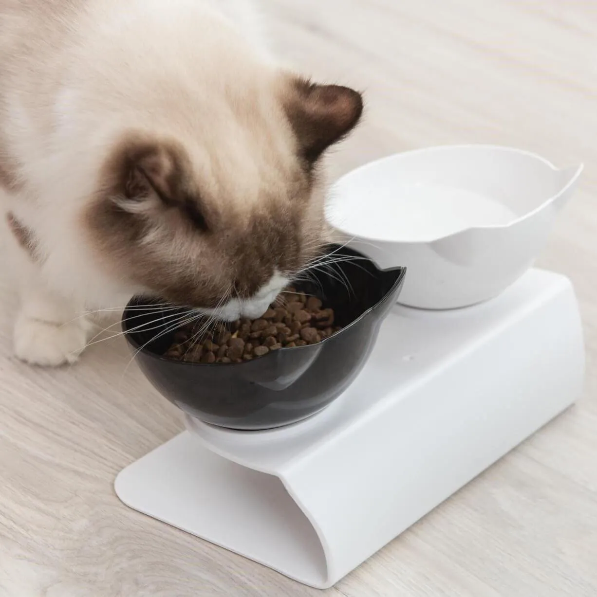 Anti-Vomiting Orthopedic Cat Bowl