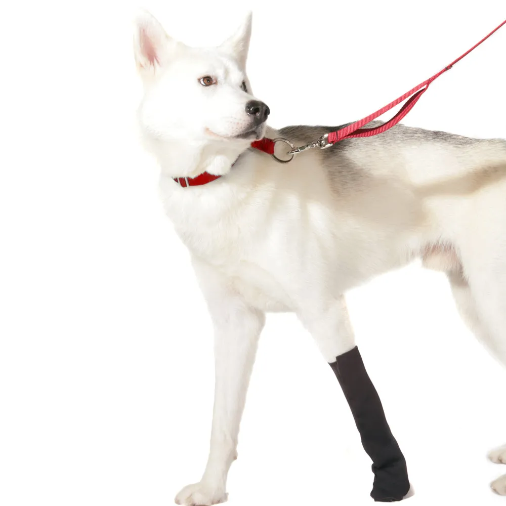 AO Canine Carpal Wraps